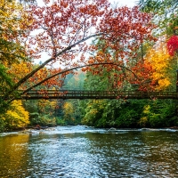 The Toccoa River Hanging Bridge, Georgia