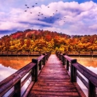 Pier at Cherokee Lake, Tennessee