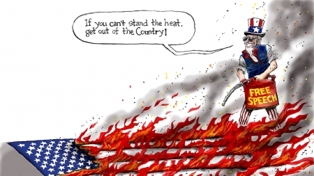 Lost Freedom - burning flag, freedom, biden, doom, sinister, traitor