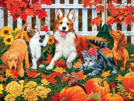 Autumn fun - dog, pumpkin, orange, cat, garden, autumn, red, pisici, caine, art