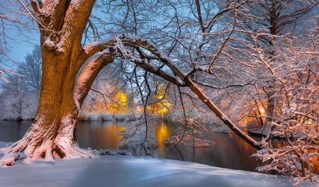 winter scene - winter, photo, nature, scene