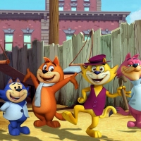 Top Cat Begins