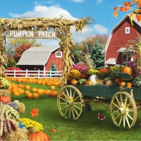 Pumpkin Patch