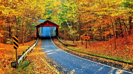 Cambron Covered Bridge, Alabama - leaves, fall, autumn, trees, colors, road, usa