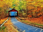 Cambron Covered Bridge, Alabama