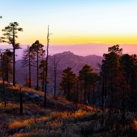 Sunset on Mount Lemmon, Arizona