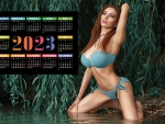 Redhead Bikini Model ~ 2023 Calendar