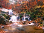 Waterfall in Autumn Forest