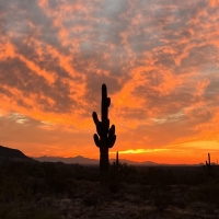 Hawes Ranch, Mesa, Arizona