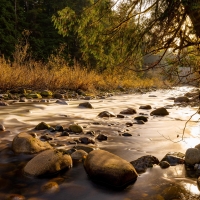 Seymour River in Lynn Valley, British Columbia