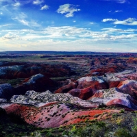 Petrified Forest, Arizona