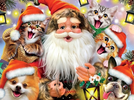 :D - hat, selfie, dog, cat, christmas, santa, craciun, kitten, funny, pisici, cute, puppy