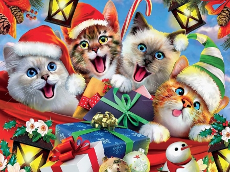 :) - selfie, cat, christmas, fantasy, craciun, kitten, funny, pisici, art