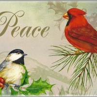 Christmas Card - Birds