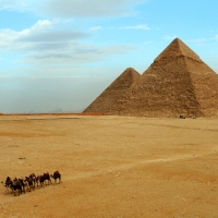 Camel Caravan on the Gaza of Egypt