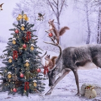 Animals Gathering Around the Christmas Tree