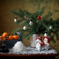 Christmas Still Life