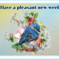 PLEASANT NEW WEEK