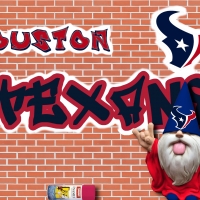 Graffiti Wizard-Texans