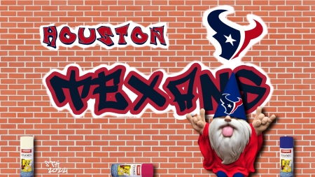 Graffiti Wizard-Texans