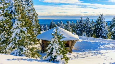 Beautiful winter picture - gyonyoru, havas, tel, termeszet