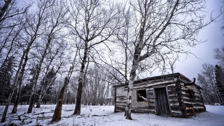 Old Hunting Retreat  - nature, cottage, trees, snow, winter, retreat