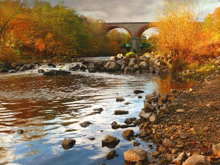 A Morning Ramble - reflections, yellow, rivers, spring, leaves, forests, seasons, nice, bridges, trees, water, beautiful, photography, gold, cool, nature, autumn, rocks