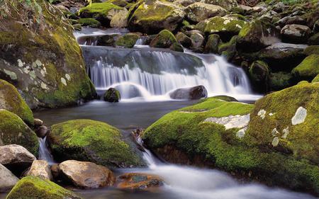 Roaring Lobnica River Pohorje Slovenia - fork, tennessee, smoky, great, moss, mountains, rocks, covered, river, roaring