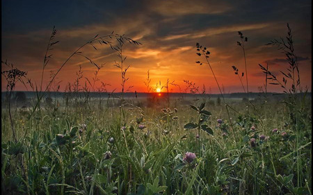 Sunset - sunsets, nature