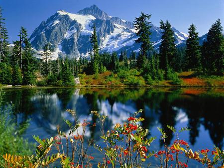 Mountain - sky, water, flowers, trees, nature, mountain