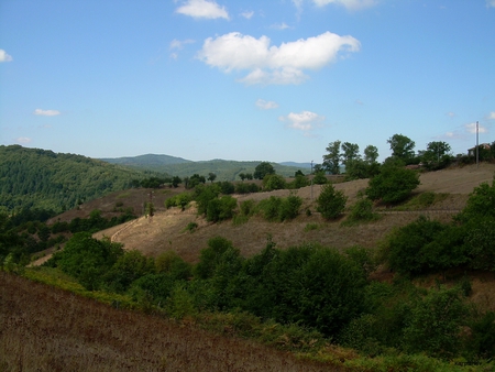 Stoilovo - trees, forest, nature, mountain