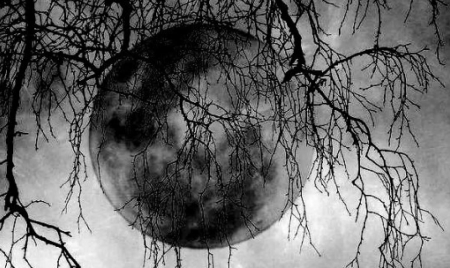 Moon - Satelite, plants, Astronomy, Moon