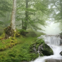 Waterfall at Catalonia, Spain