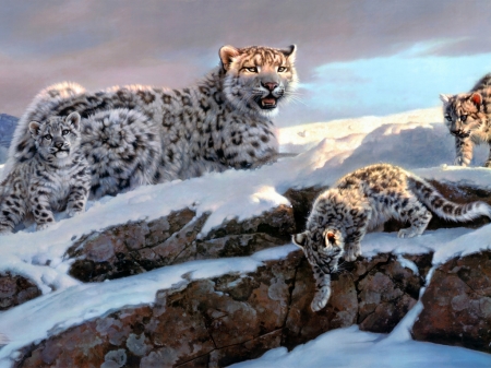 Snow leopard family - allatok, ho, hoparduc, tel