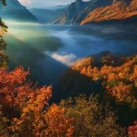 Tara River Gorge, Montenegro