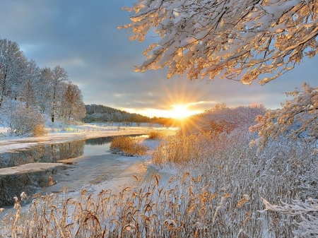 Winter sunrise - fak, folyo, napkelte, teli