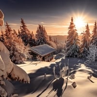 Winter sun