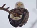 Watching You