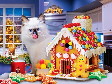 Cats - beautiful, Christmas, Cats, Food