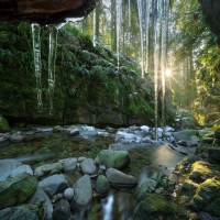 Icicles in the rainforest, North Shore Mountains, British Columbia