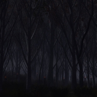 Creepy Forest