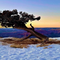 Grand Canyon, South Rim, Arizona