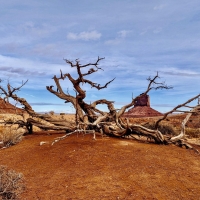 Monument Valley, Arizona