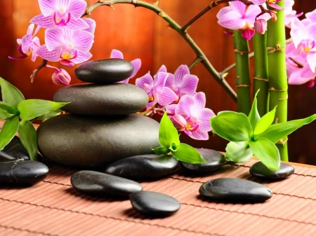 Spa - Bamboo, Pink, Stones, Orchids