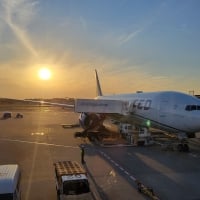 Sunset Flight Preparation