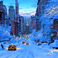 Artwork - New York In Winter