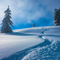 Winter in Austria