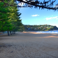 Whale Beach