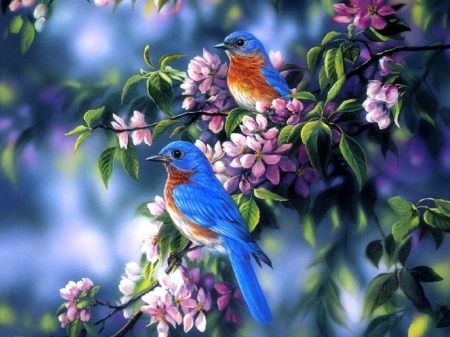 Two little blue birds - Birds & Animals Background Wallpapers on ...