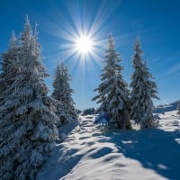 Mountain with snowy pines in Austria